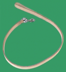 Lederleine 100cm x 2cm