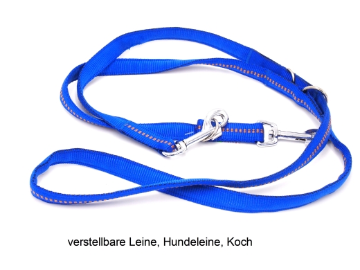 Hunde Nylonleine royal