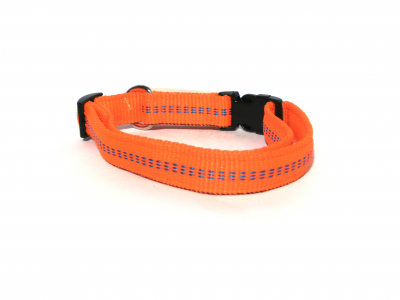 Hundehalsband Nylon orange